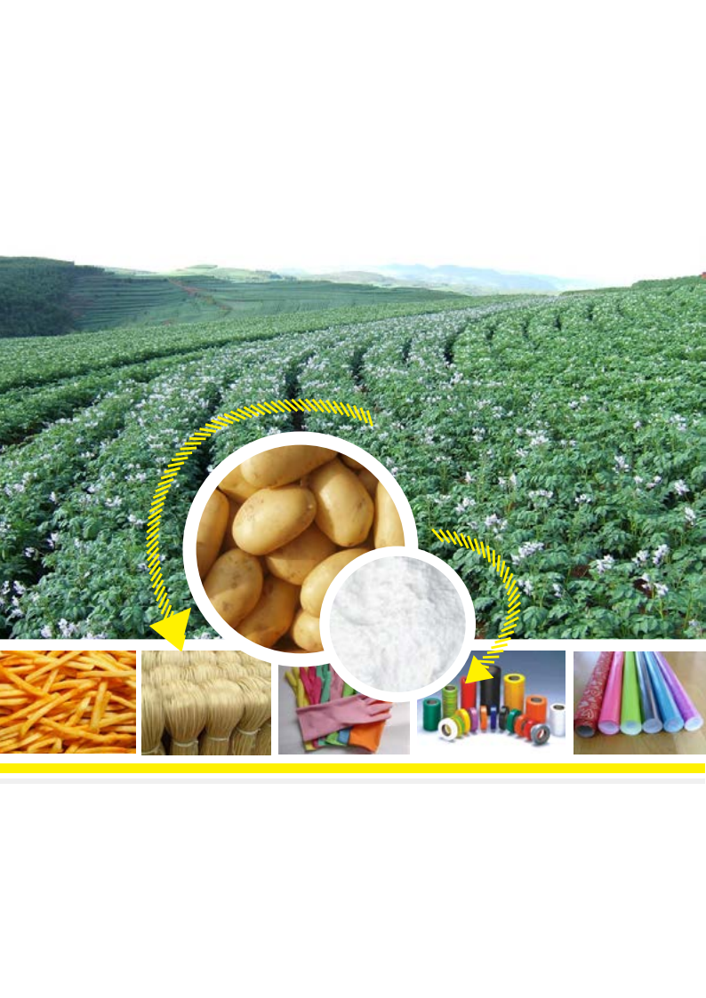 Quarterly Report of Potato Starch